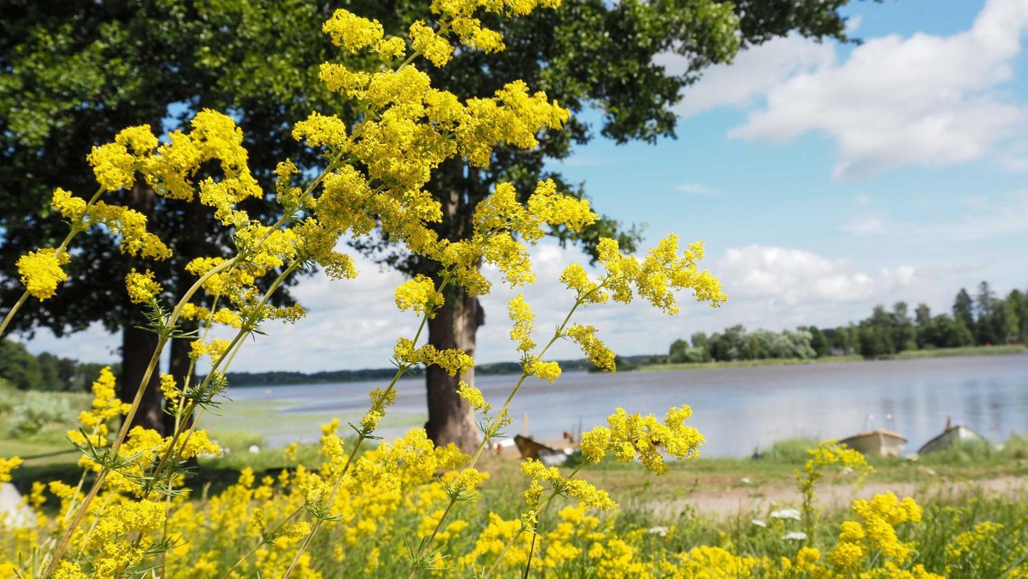 Komplett Laegenhet Med Sjoeutsikt Malmon Extérieur photo